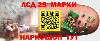 амф Дубна