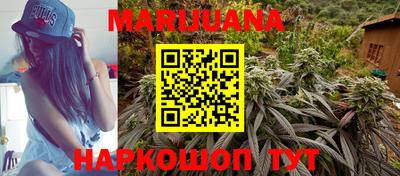 амф Дубна
