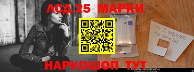 амф Дубна
