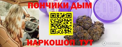 амф Дубна