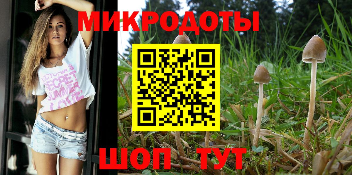 Псилоцибиновые грибы мицелий Долгопрудный