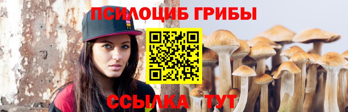 Псилоцибиновые грибы Psilocybe  Псилоцибиновые грибы Cubensis  Долгопрудный  Вход с VPN 